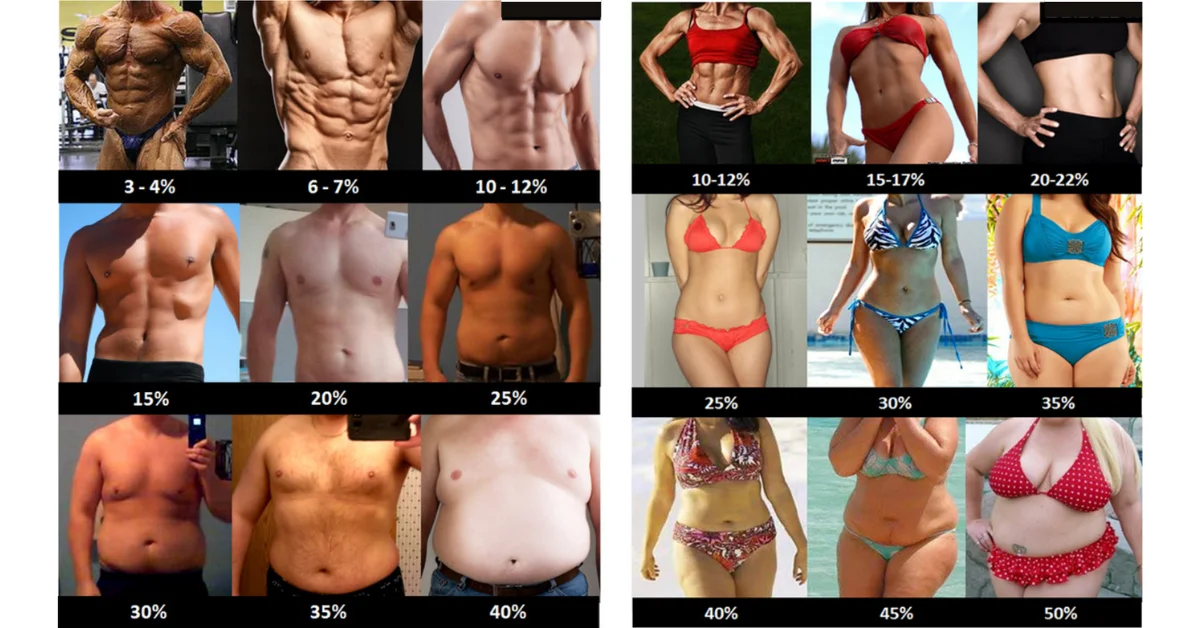 ty-le-phan-tram-mo-co-the